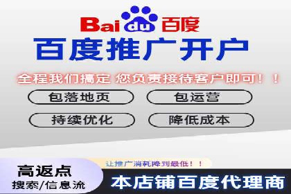 百度推广的长期效果评估与优化